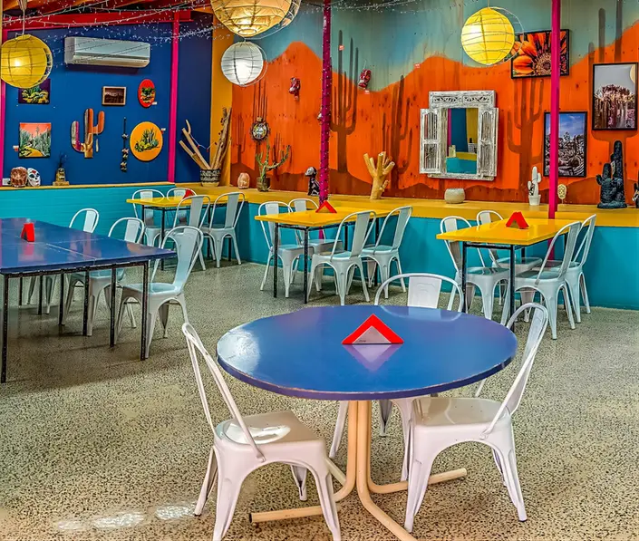 Townsville Photographer visiting the Cactus Farm in Victoria