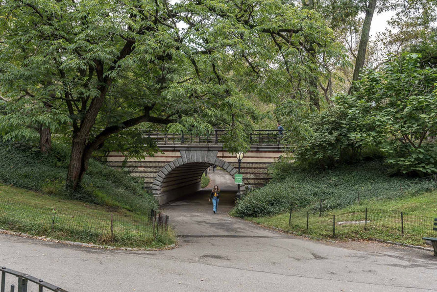 Townsville Photographer in New York
