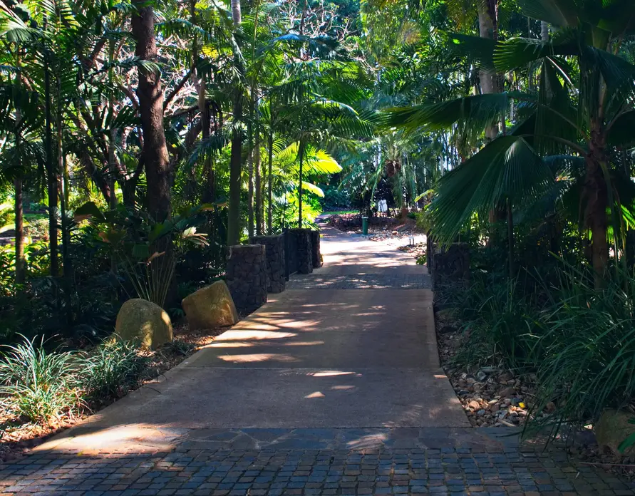 Townsville Photographer at the Palmetum