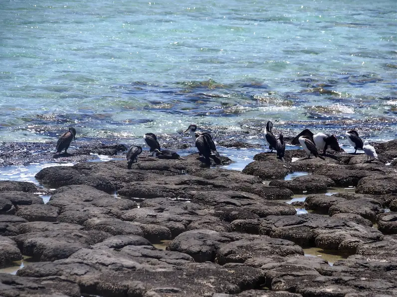 Townsville Photographer in Hamelin Bay WA
