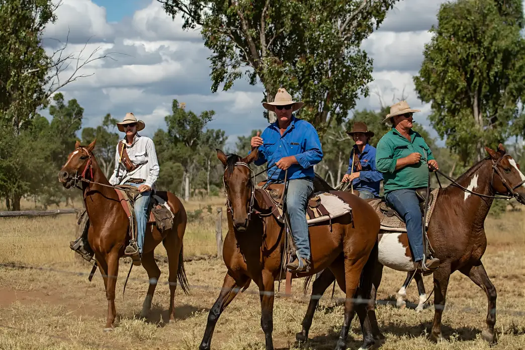 Townsville Photographer at the Springs Cattle Station
