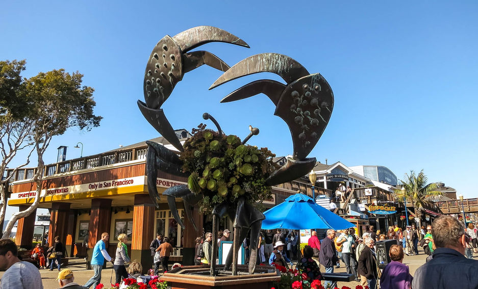 Townsville Photographer at the Fisherman's Wharf San Francisco