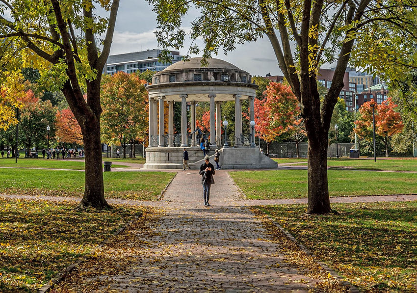 Photography Escapades