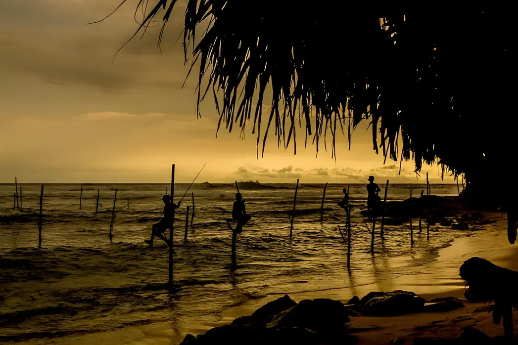 Candid Photography by Townsville Photographer
