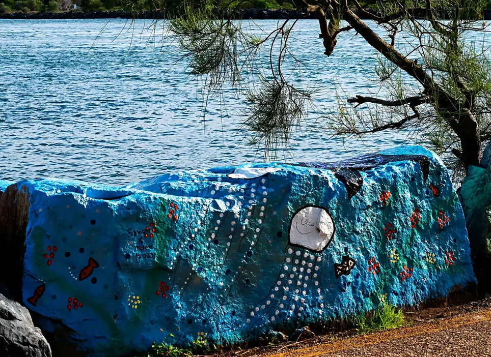 Townsville Photographer in Port Macquarie