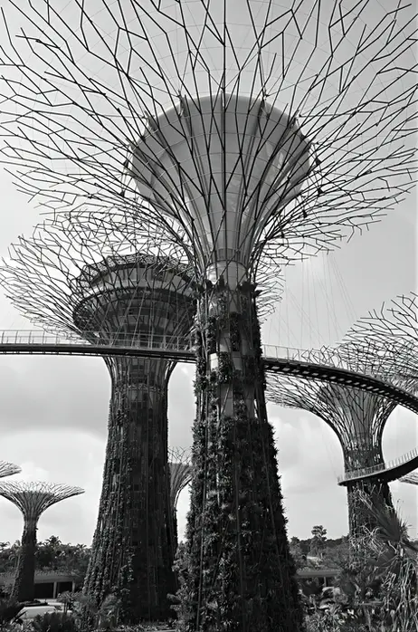 Townsville Photographer in Singapore