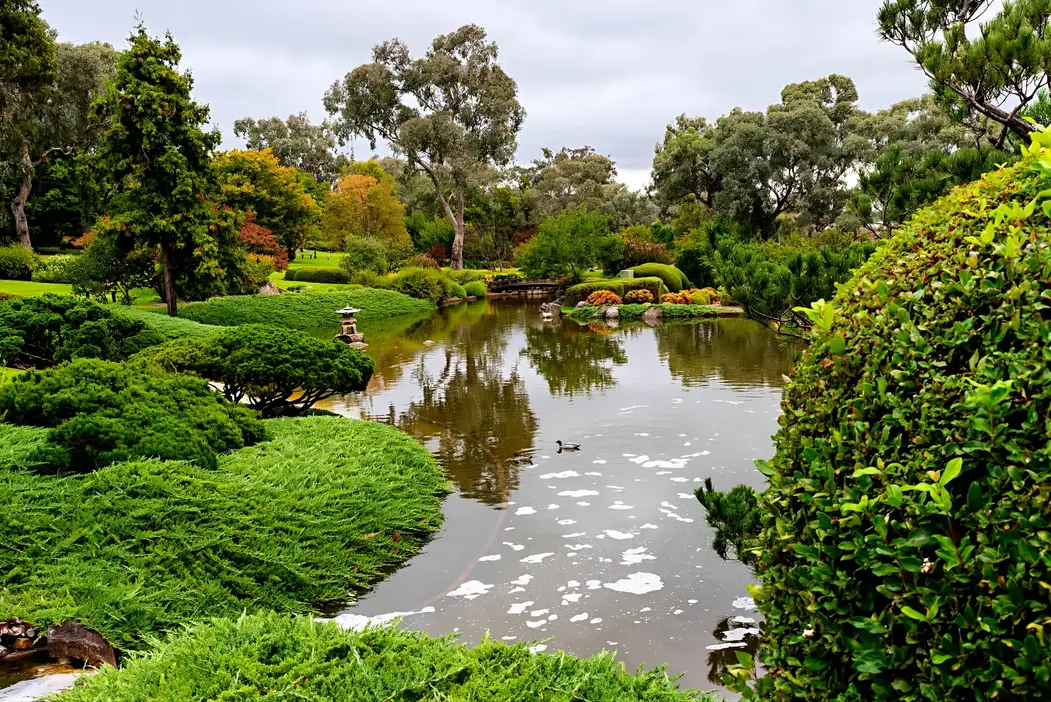Townsville Photographer at the Cowra Japanese Gardens