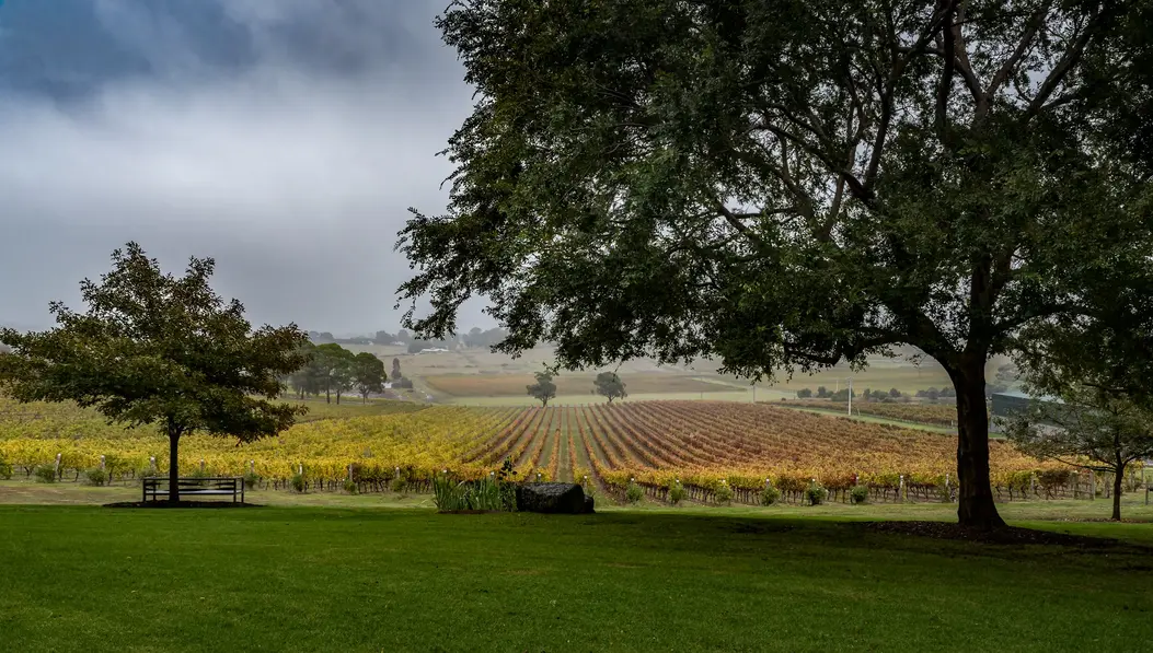 Townsville Photographer at the Yering Winery in Victoria