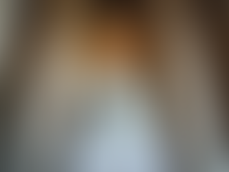 A Guide to the Must-See Historical Sites in Washington DC