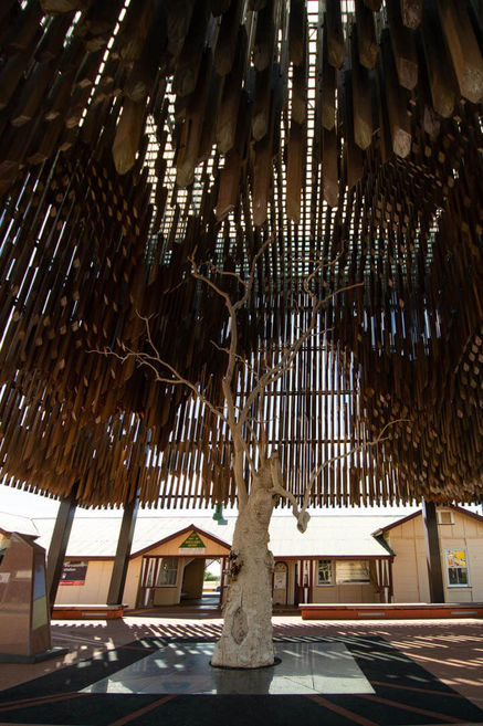Travel Photographer in Blackall