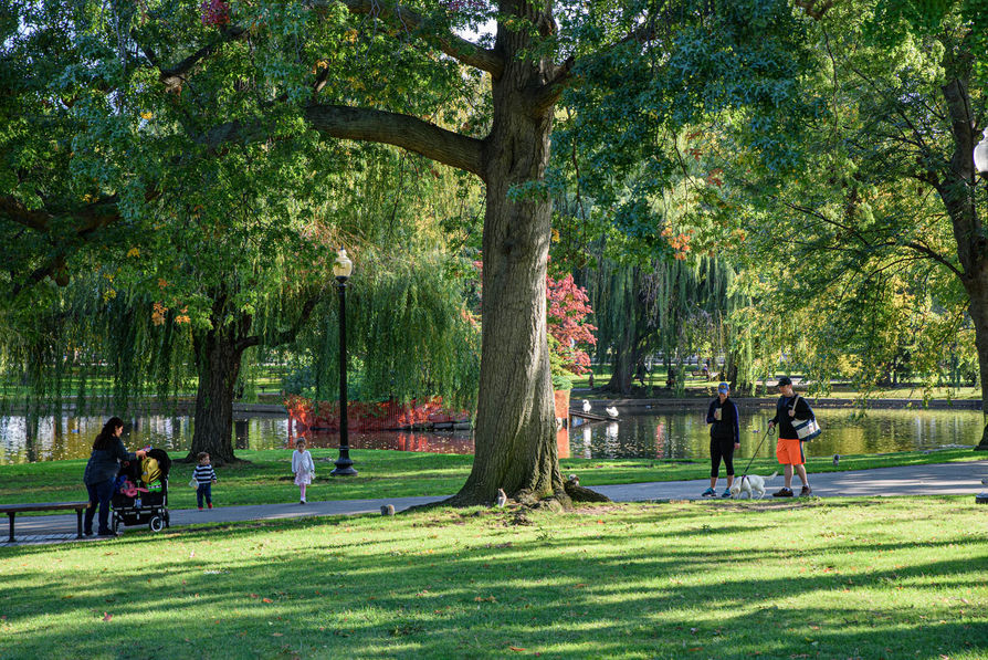 Photography Escapades