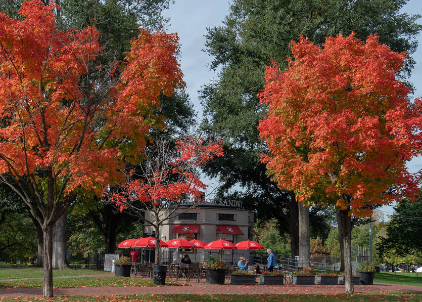 Photography Escapades