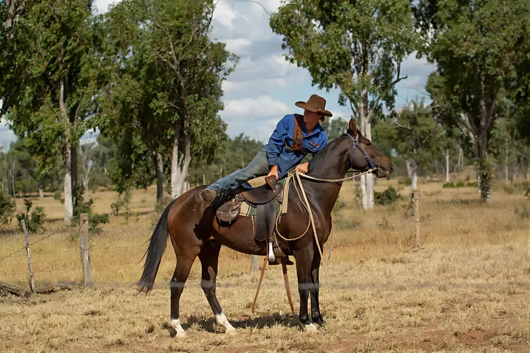 Townsville Photographer at the Springs Cattle Station