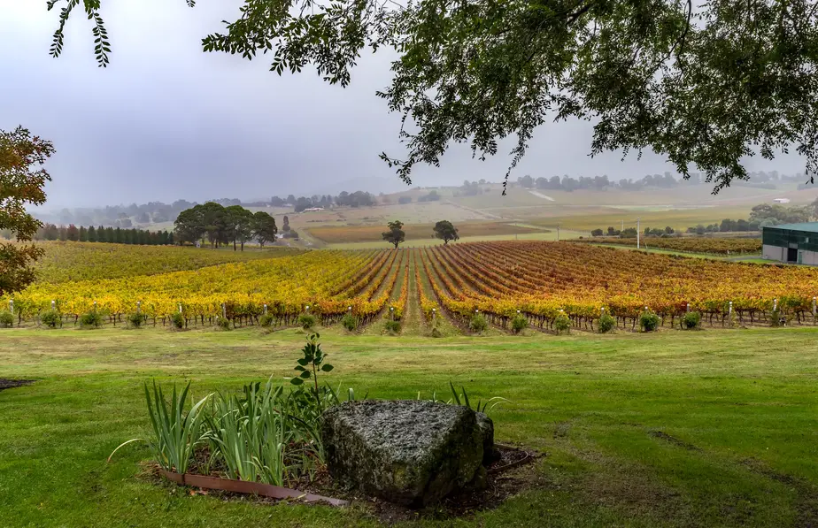 Townsville Photographer at the Yering Winery in Victoria