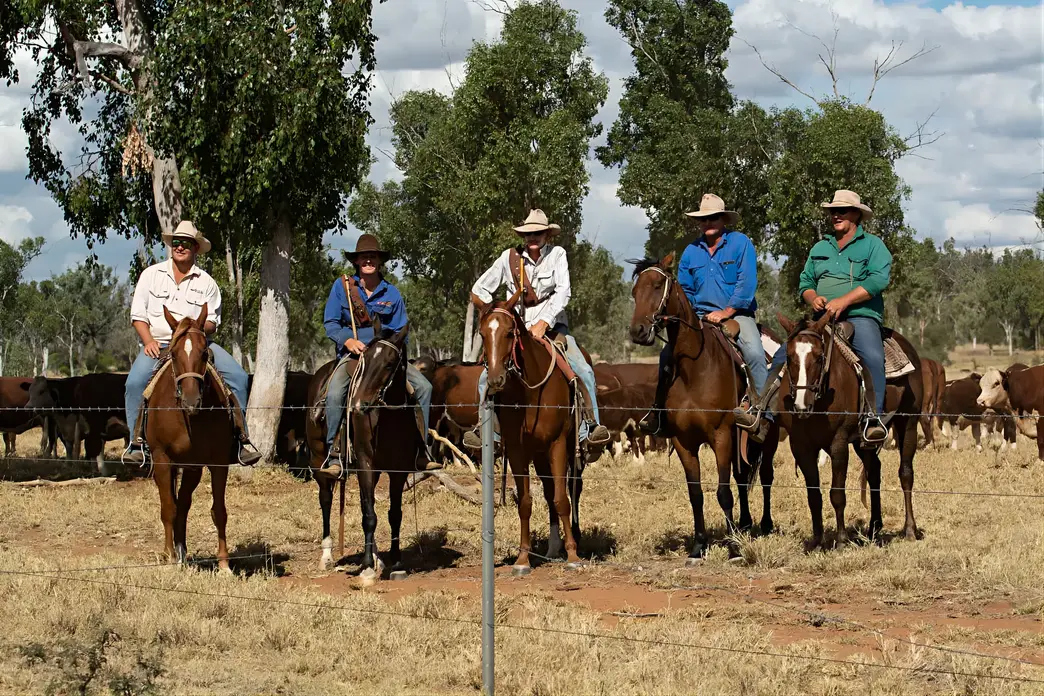 Townsville Photographer at the Springs Cattle Station
