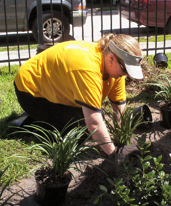 Image of volunteer planting flowers.