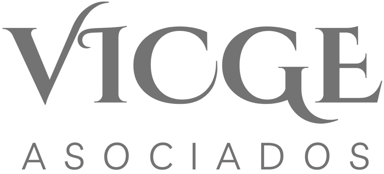 Logo VICGE_edited.png