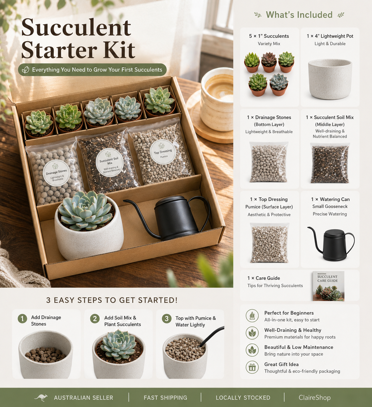 Succulent gifts