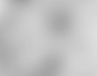 The Oddest Plant in the Garden: the Ginkgo Tree (Ginkgo biloba)