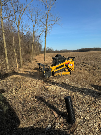 Small Bobcat clearing brush