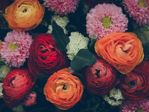 Let Flowers Symbolize Your New Year