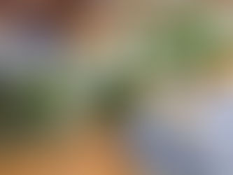 How to plan flowers for a special dinner party