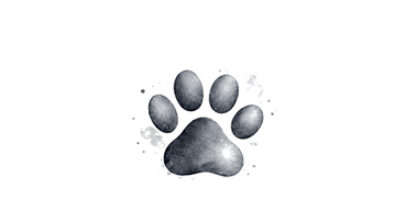 Gray watercolor paw print detail_edited.