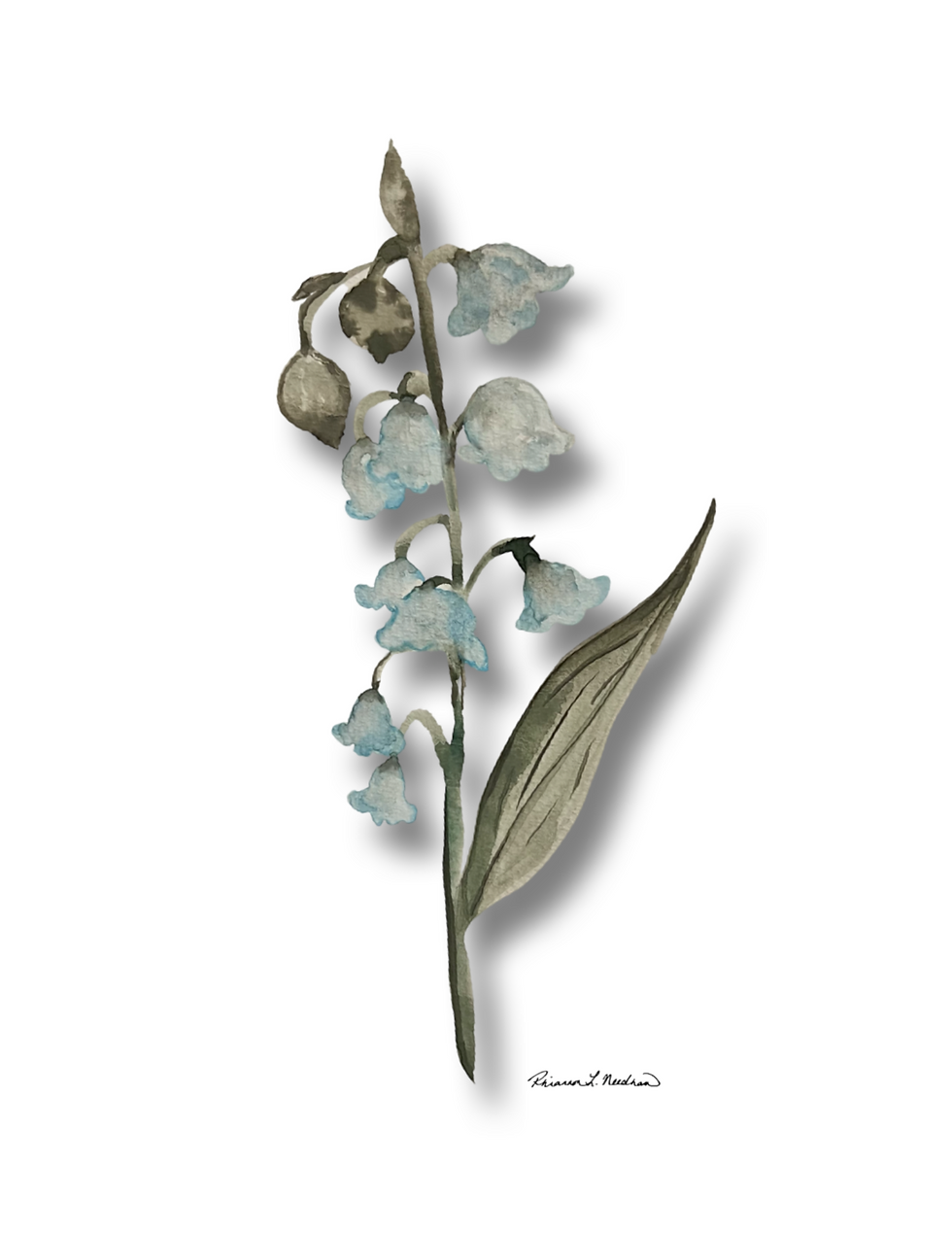 Thumbnail: Birth Month Flowers - Choose Month (Print)