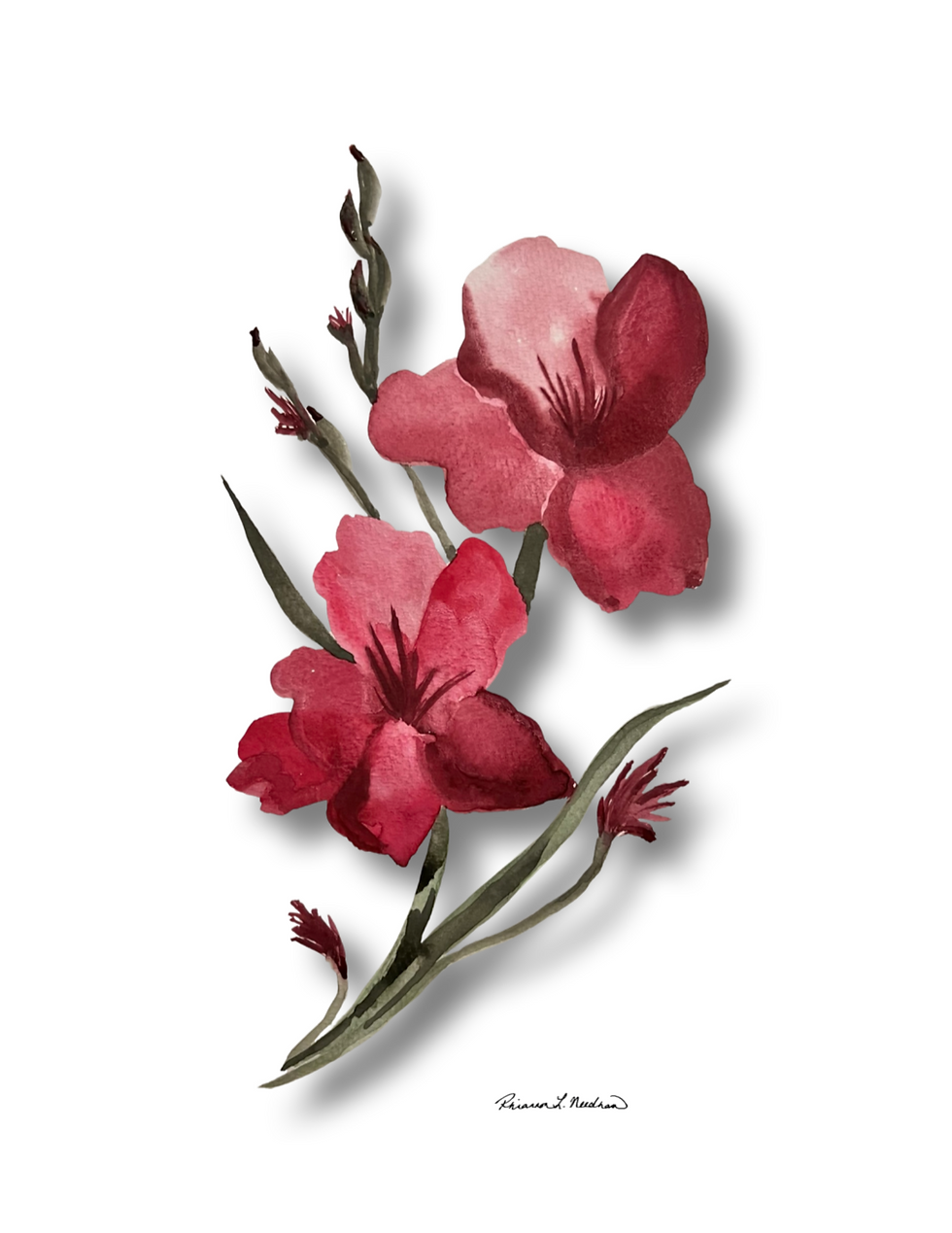 Thumbnail: Birth Month Flowers - Choose Month (Print)