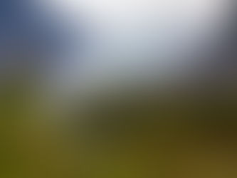 How We Spent a Port Day in Juneau on Our Alaska Cruise