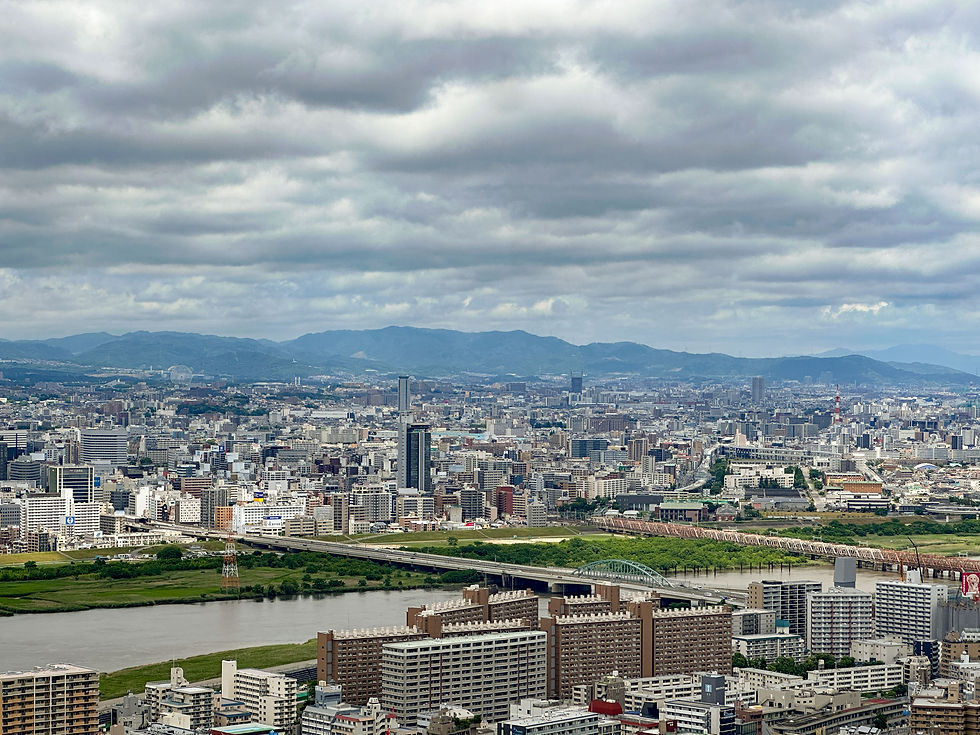 Wide cityscape by a river and bridges, backed by mountains under thick gray clouds.
