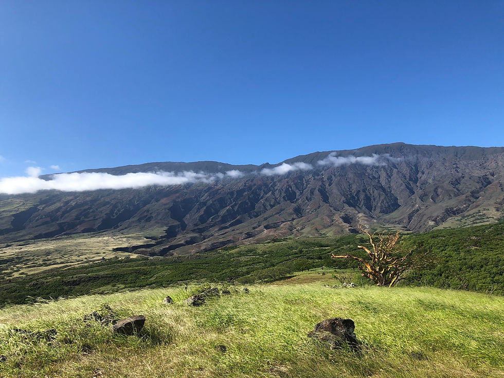 Backside of the Road To Hana, only availble via Tours!