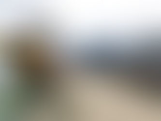 Skagway Shore Excursion Review: Chilkoot Trail Hike, Float & Summit Drive