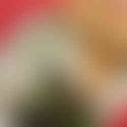 Cheese Toasty (grilled cheese) from The Green Welly