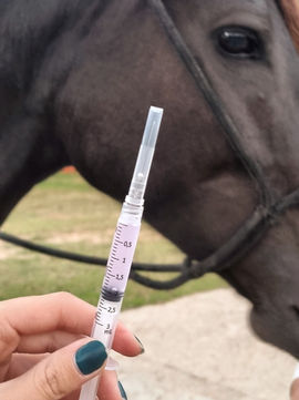 Você sabe qual a importância da vacinação para o seu animal? As vacinas ajudam na proteção da sua tropa contra doenças infectocontagiosas, trazendo diversos benefícios não apenas para a saúde dos seus animais como também reduzindo gastos para os criadores, uma vez que reduz a incidência de algumas doenças e suas complicações.