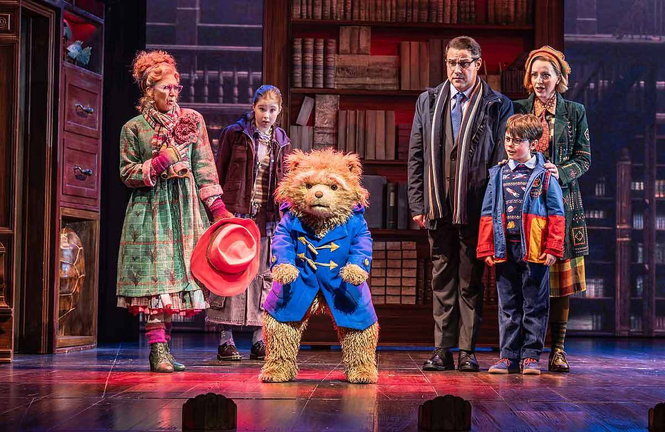 Paddington demonstrates the hard stare