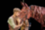 Tom-Sturgess-War-Horse-2026-National-Theatre-c-Brinkhoff-Moegenburg