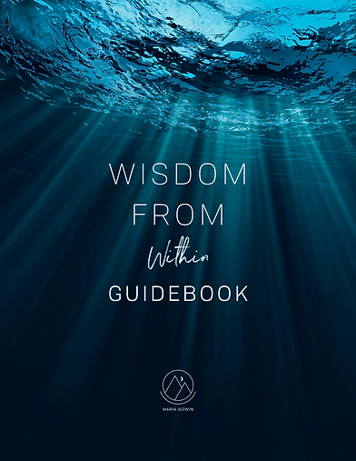 The Wisdom Within Cover.png