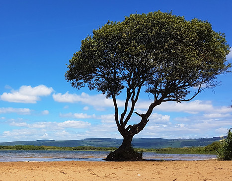 Kenfig Nature Reserve, Kenfig Pool