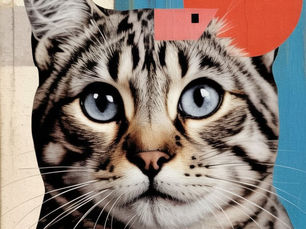 Style visuel [Collage]