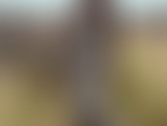 Création d'une photographie en pleine nature d'une jeune femme africaine à la peau d'un noir profond