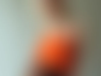 Atelier prise de photo en contre-plongée (1h30)