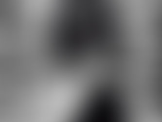 style visuel [Monochrome]