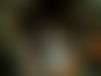 Inspiration cour rustique