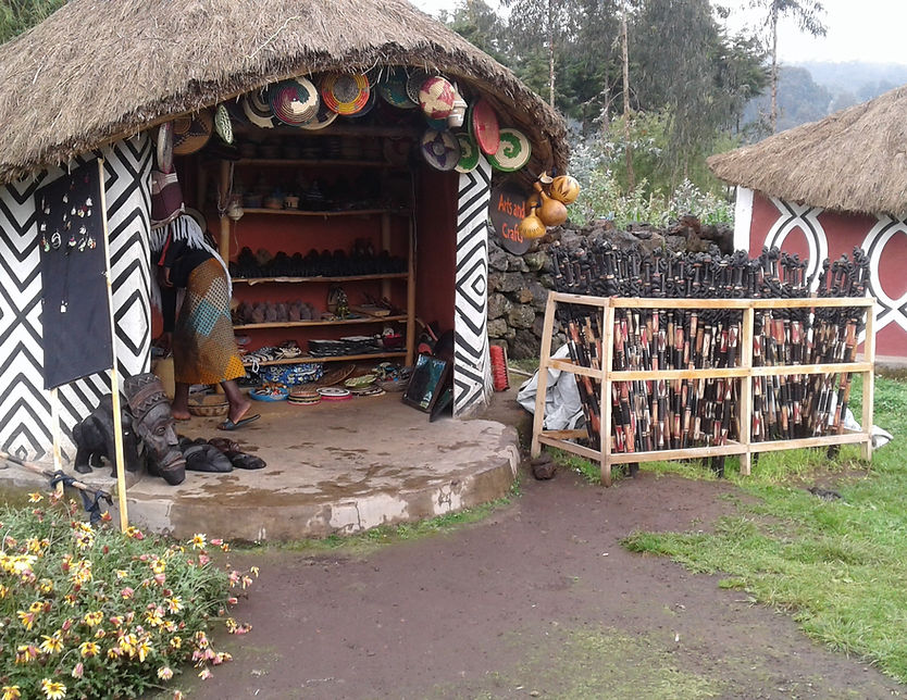 Gorillas Guardians Village