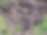 pic2 copy.png