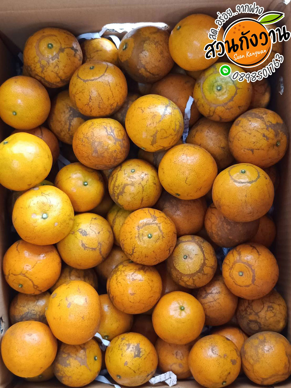 ภาพขนาดย่อ: ส้มสายน้ำผึ้ง ผิวติดลาย ใส่กล่องธรรมดา