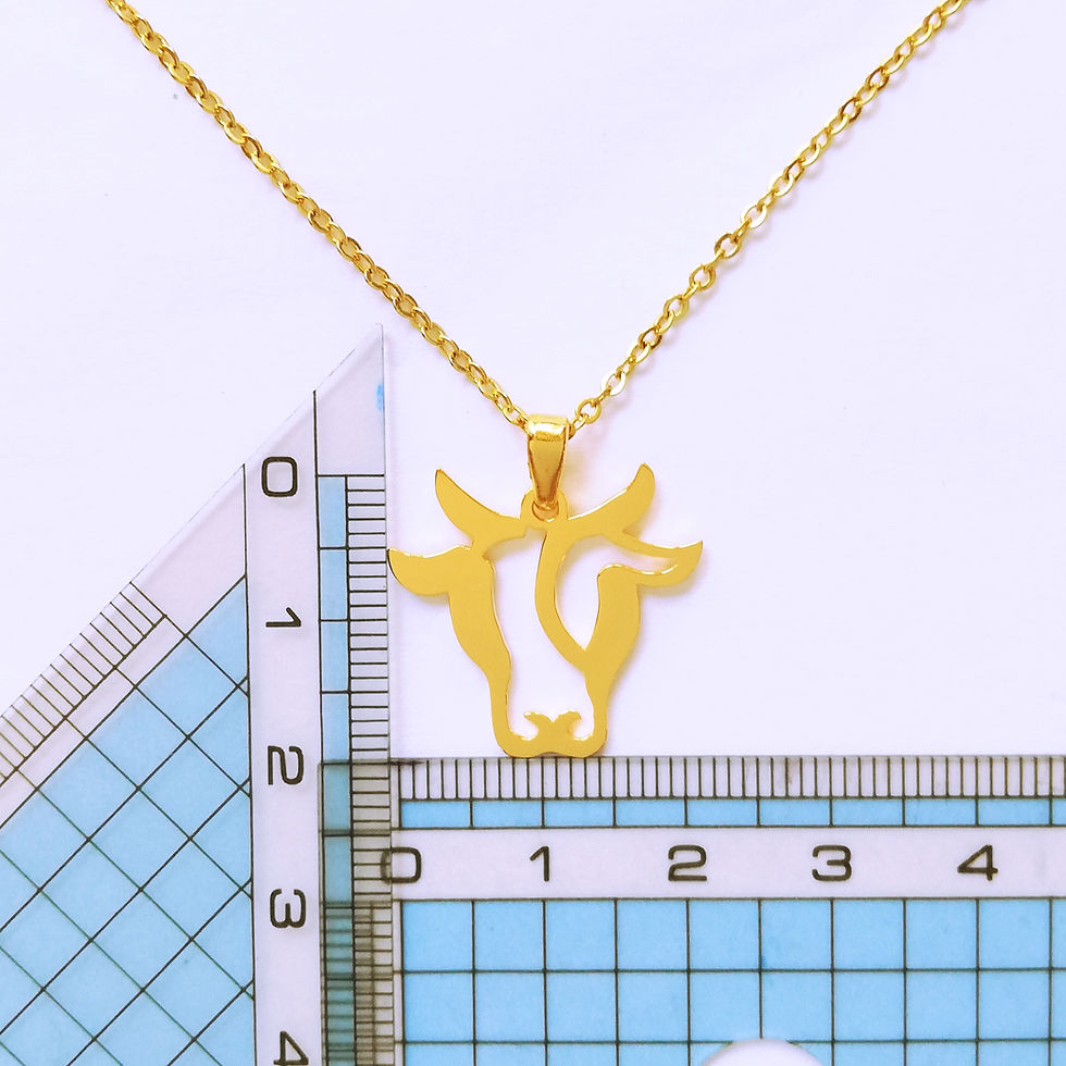 サムネイル： Two rulers showing the size of Gold ox face necklace designed with Japanese letter Hiragana