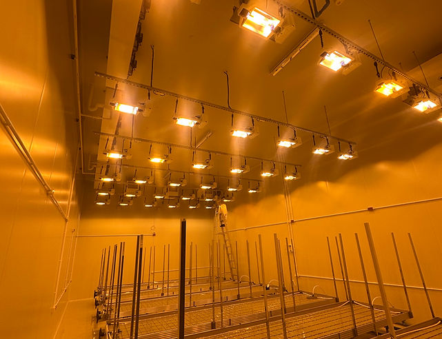 Grow room with DLI 1000 watt HPS lighting fixtures