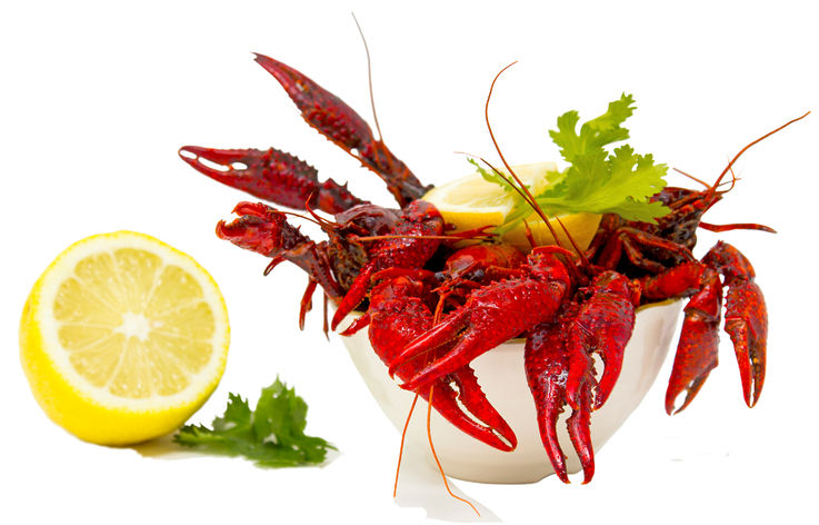 crawfish.jpg